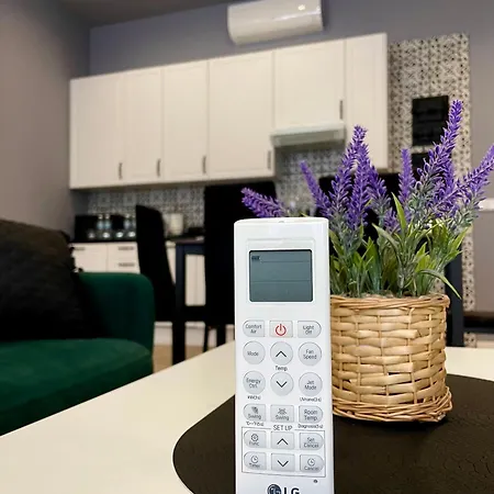 7 Kamienic 29 Lok 2a Vis A Vis Jasnej Gory * Ченстохова