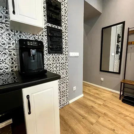 7 Kamienic 29 Lok 2a Vis A Vis Jasnej Gory Апартаменты Ченстохова