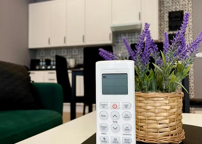 7 Kamienic 29 Lok 2a Vis A Vis Jasnej Gory * Czestochowa